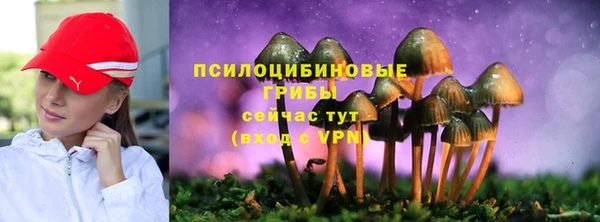 спиды Заводоуковск