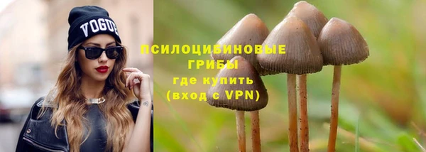 спиды Заводоуковск