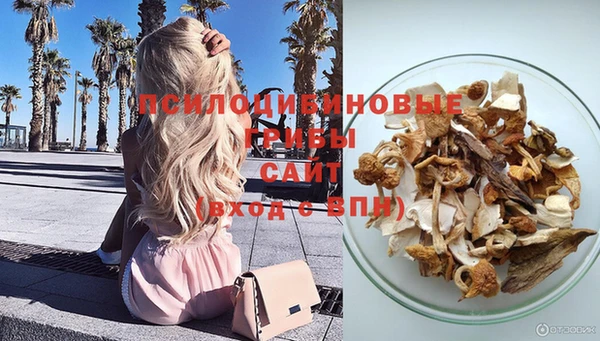 спиды Заводоуковск