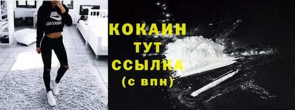 спиды Заводоуковск