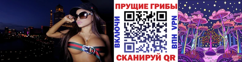 где купить наркоту Кедровый Галлюциногенные грибы мицелий
