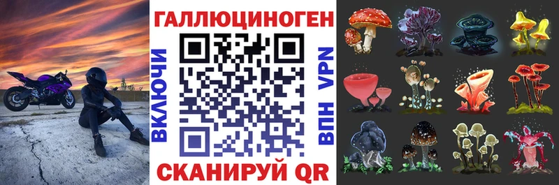 Галлюциногенные грибы MAGIC MUSHROOMS Кедровый